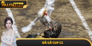 Đá Gà Cup C1 ALO789 - Điểm Hấp Dẫn Dành Cho Khách Hàng