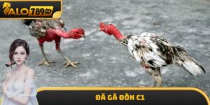 Đá Gà Đòn C1 ALO789 - Giải Đấu Tối Thượng Của Chiến Kê