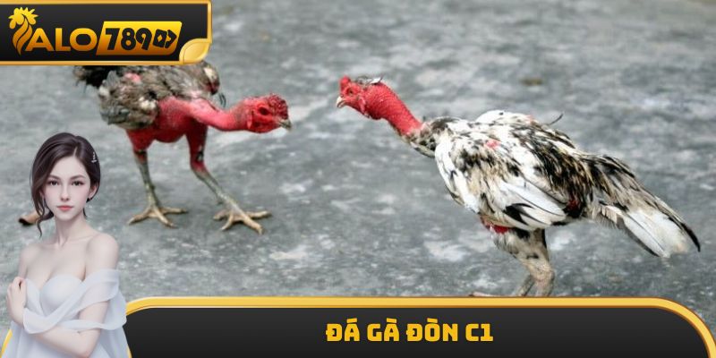 Đá Gà Đòn C1 ALO789 - Giải Đấu Tối Thượng Của Chiến Kê