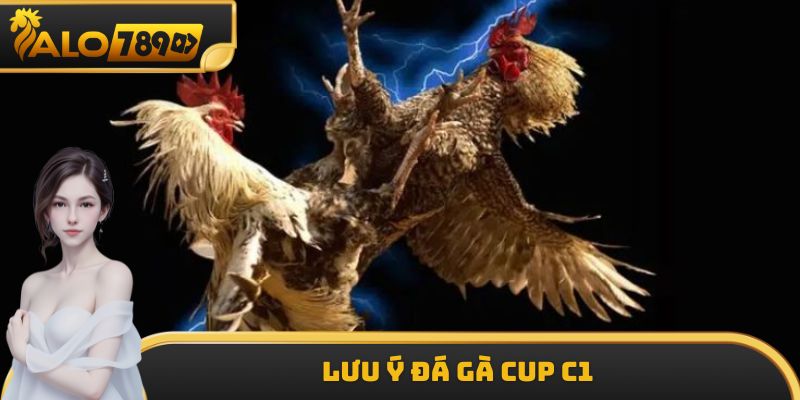 Lưu ý đá gà Cup C1
