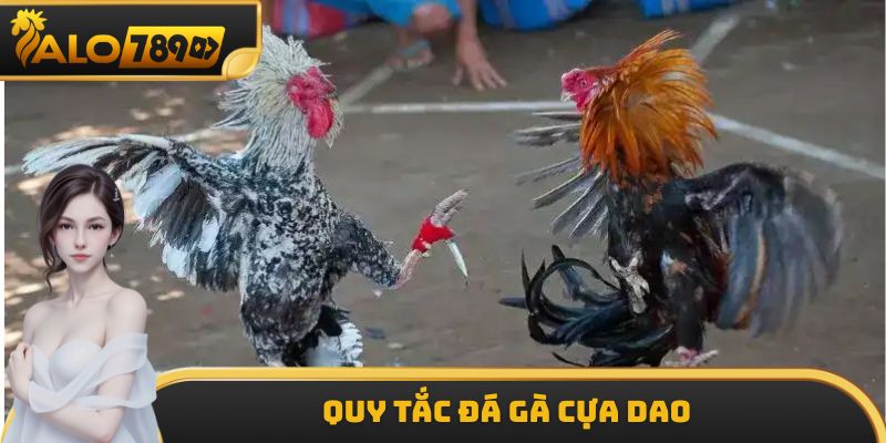 Quy tắc đá gà cựa dao