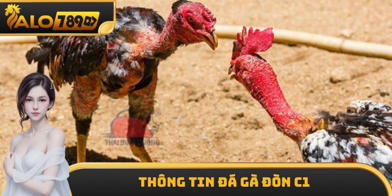 Thông tin đá gà đòn C1